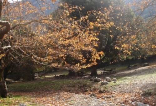 Περιοχές Natura: Οι 5 όροι για επέκταση σχεδίων πόλης