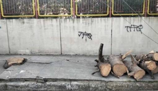 &Delta;ή&mu;&omicron;&sigmaf; &mu;&epsilon;... &alpha;&gamma;&rho;&iota;&epsilon;&mu;έ&nu;&epsilon;&sigmaf; &delta;&iota;&alpha;&theta;έ&sigma;&epsilon;&iota;&sigmaf; &kappa;&alpha;&iota; &laquo;&mu;&alpha;&theta;ή&mu;&alpha;&tau;&alpha;&raquo; &delta;&epsilon;&omicron;&nu;&tau;&omicron;&lambda;&omicron;&gamma;ί&alpha;&sigmaf;