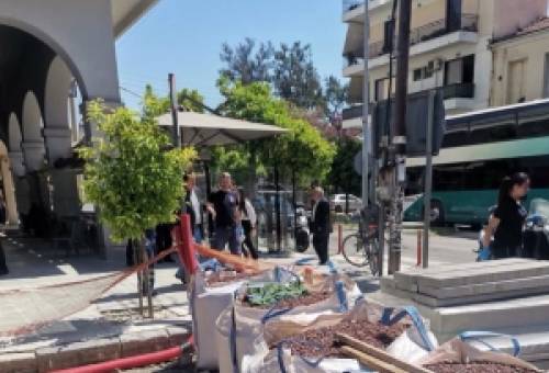 Αίματα και μπουνιές στη διασταύρωση Παλαιολόγου-Λυκούργου στη Σπάρτη