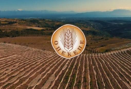 ΟΠΕΚΕΠΕ: Έως 31 Μαΐου η καταχώριση ποσοτήτων για τις συνδεδεμένες ενισχύσεις