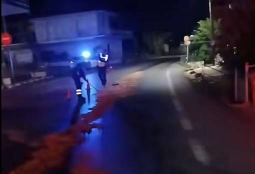 Διαρροή λαδιών στην ΕΟ Σπάρτης-Τρίπολης στην Κοκκινόραχη