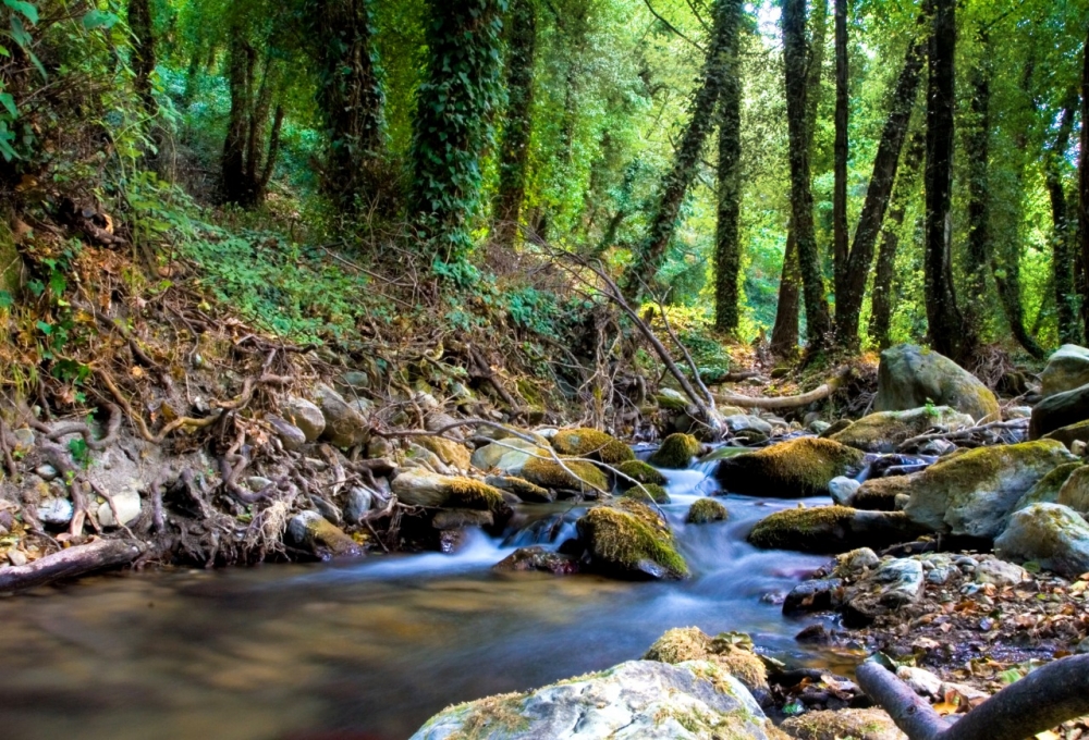 Έ&nu;&alpha; &xi;&epsilon;&chi;&omega;&rho;&iota;&sigma;&tau;ό &tau;&rho;&iota;ή&mu;&epsilon;&rho;&omicron; &tau;&omicron;&upsilon; &Alpha;&gamma;. &Pi;&nu;&epsilon;ύ&mu;&alpha;&tau;&omicron;&sigmaf; &mu;&epsilon; &tau;&eta;&nu; &laquo;Activate Now&raquo; &sigma;&tau;&omicron; &Kappa;&alpha;&sigma;&tau;ό&rho;&iota;!