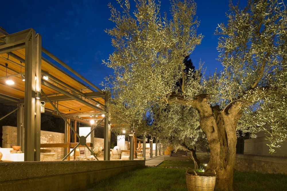 &laquo;&Kappa;&alpha;&iota; &epsilon;&gamma;έ&nu;&epsilon;&tau;&omicron; &Gamma;&upsilon;&nu;&alpha;ί&kappa;&alpha;&raquo;: &Pi;&alpha;&rho;ά&sigma;&tau;&alpha;&sigma;&eta; &sigma;&tau;&omicron; &Mu;&omicron;&upsilon;&sigma;&epsilon;ί&omicron; &Epsilon;&lambda;&iota;ά&sigmaf; &kappa;&alpha;&iota; &Lambda;&alpha;&delta;&iota;&omicron;ύ