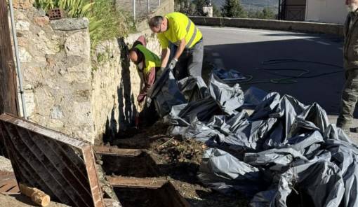 &Pi;&rho;&omicron;&lambda;&eta;&pi;&tau;&iota;&kappa;ό&sigmaf; &kappa;&alpha;&theta;&alpha;&rho;&iota;&sigma;&mu;ό&sigmaf; &phi;&rho;&epsilon;&alpha;&tau;ί&omega;&nu; &kappa;&alpha;&iota; &alpha;&upsilon;&lambda;&alpha;&kappa;&iota;ώ&nu; &sigma;&tau;&omicron; &Gamma;&epsilon;&omega;&rho;&gamma;ί&tau;&sigma;&iota;
