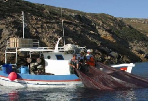 Καταβολή de minimis σε αλιείς βιντζότρατας