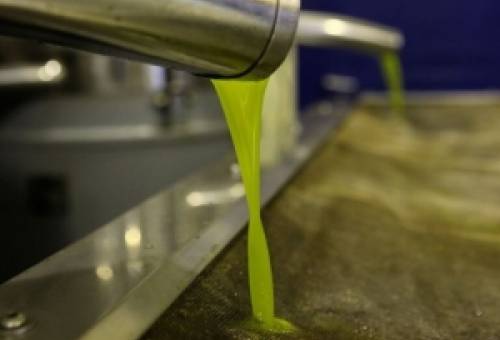 Στα 7,3€ η τιμή εκκίνησης για το λάδι στους Αγίους Αποστόλους