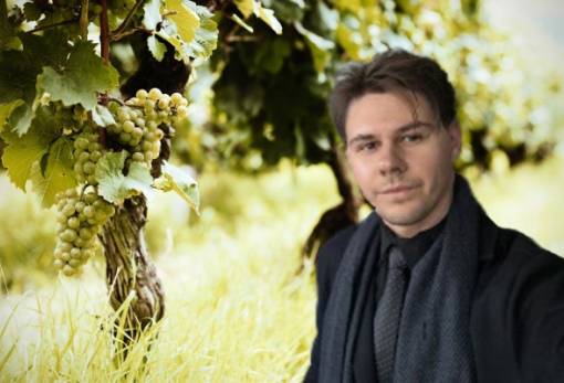 Η σχέση του κλίματος με τις αμπελοκαλλιέργειες