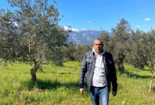Η «Σχολή Ελαιοκομίας» απλώνει τις «ρίζες» της στη Σπάρτη