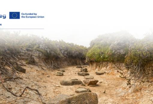 Ο δήμαρχος Σπάρτης είπε «όχι»… στα λεφτά - Χάρισαν 150.000 ευρώ σε άλλον Δήμο