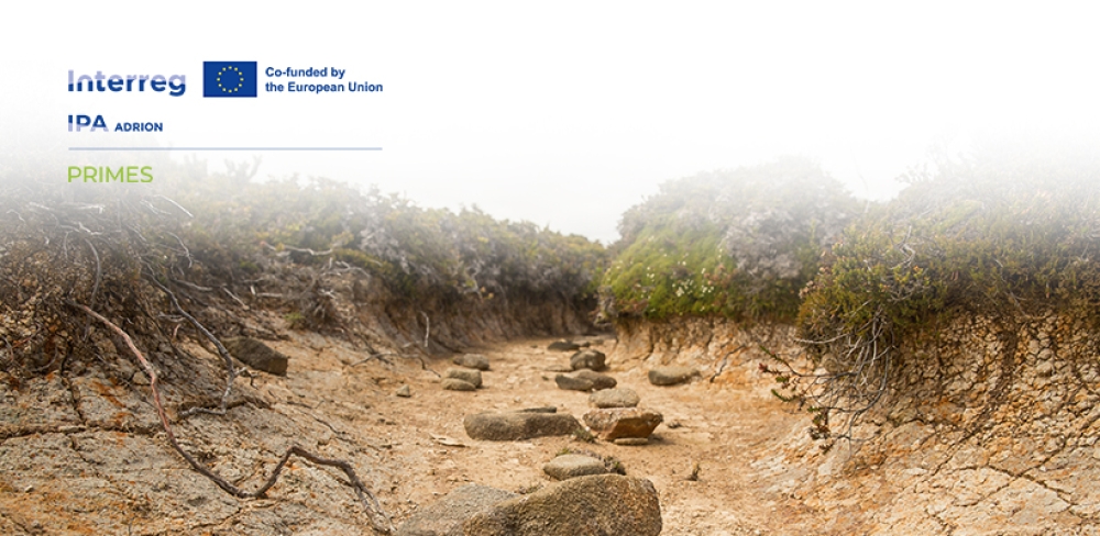 &Omicron; &delta;ή&mu;&alpha;&rho;&chi;&omicron;&sigmaf; &Sigma;&pi;ά&rho;&tau;&eta;&sigmaf; &epsilon;ί&pi;&epsilon; &laquo;ό&chi;&iota;&raquo;&hellip; &sigma;&tau;&alpha; &lambda;&epsilon;&phi;&tau;ά - &Chi;ά&rho;&iota;&sigma;&alpha;&nu; 150.000 &epsilon;&upsilon;&rho;ώ &sigma;&epsilon; ά&lambda;&lambda;&omicron;&nu; &Delta;ή&mu;&omicron;