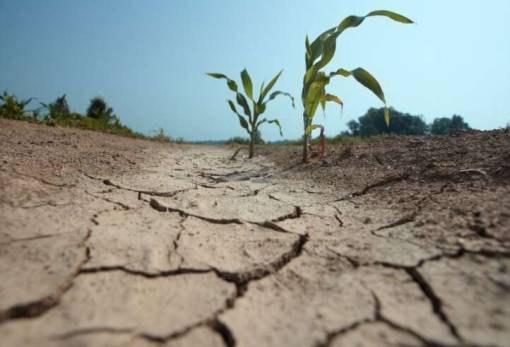 Ξηρασία: Έπληξε το 52% των εδαφών στην Ευρώπη και την περιοχή της Μεσογείου τον Ιούλιο