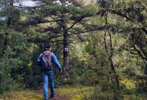 Στα μονοπάτια του Χιονοβουνίου Πάρνωνα πεζοπορεί ο ΕΟΣ Μολάων-ΝΑ Λακωνίας