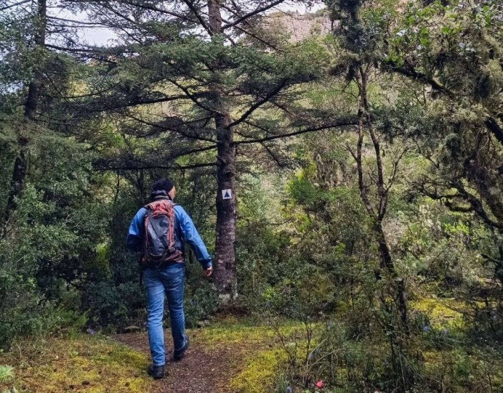 &Sigma;&tau;&alpha; &mu;&omicron;&nu;&omicron;&pi;ά&tau;&iota;&alpha; &tau;&omicron;&upsilon; &Chi;&iota;&omicron;&nu;&omicron;&beta;&omicron;&upsilon;&nu;ί&omicron;&upsilon; &Pi;ά&rho;&nu;&omega;&nu;&alpha; &pi;&epsilon;&zeta;&omicron;&pi;&omicron;&rho;&epsilon;ί &omicron; &Epsilon;&Omicron;&Sigma; &Mu;&omicron;&lambda;ά&omega;&nu;-&Nu;&Alpha; &Lambda;&alpha;&kappa;&omega;&nu;ί&alpha;&sigmaf;