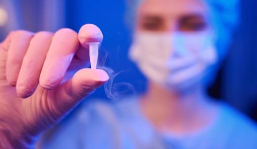 &Kappa;&alpha;&tau;ά&psi;&upsilon;&xi;&eta; &omega;&alpha;&rho;ί&omega;&nu;: &mu;ό&delta;&alpha; ή &epsilon;&rho;&gamma;&alpha;&lambda;&epsilon;ί&omicron;;