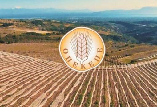 Ορίστηκε το νέο ΔΣ του ΟΠΕΚΕΠΕ