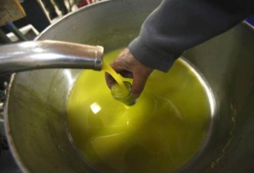 Με σπασμένα «φρένα» το ελαιόλαδο στη Λακωνία