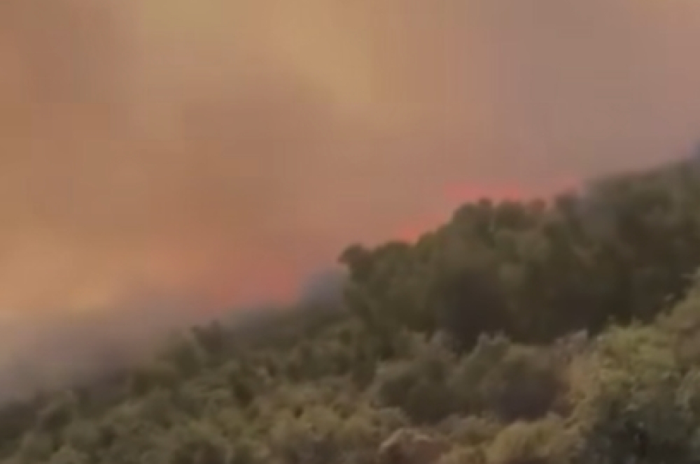 &Kappa;&alpha;&tau;&alpha;&sigma;&beta;έ&sigma;&tau;&eta;&kappa;&epsilon; &phi;&omega;&tau;&iota;ά &pi;&omicron;&upsilon; &epsilon;&kappa;&delta;&eta;&lambda;ώ&theta;&eta;&kappa;&epsilon; &sigma;&tau;&eta;&nu; &Kappa;&alpha;&rho;ί&tau;&sigma;&alpha;