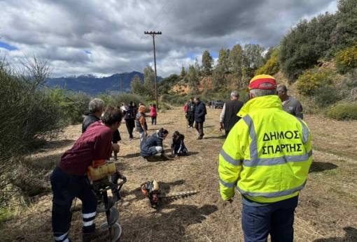 Επιτυχής η δενδροφύτευση στον Κλαδά Σπάρτης από Δήμο και «Όλοι Μαζί Μπορούμε»