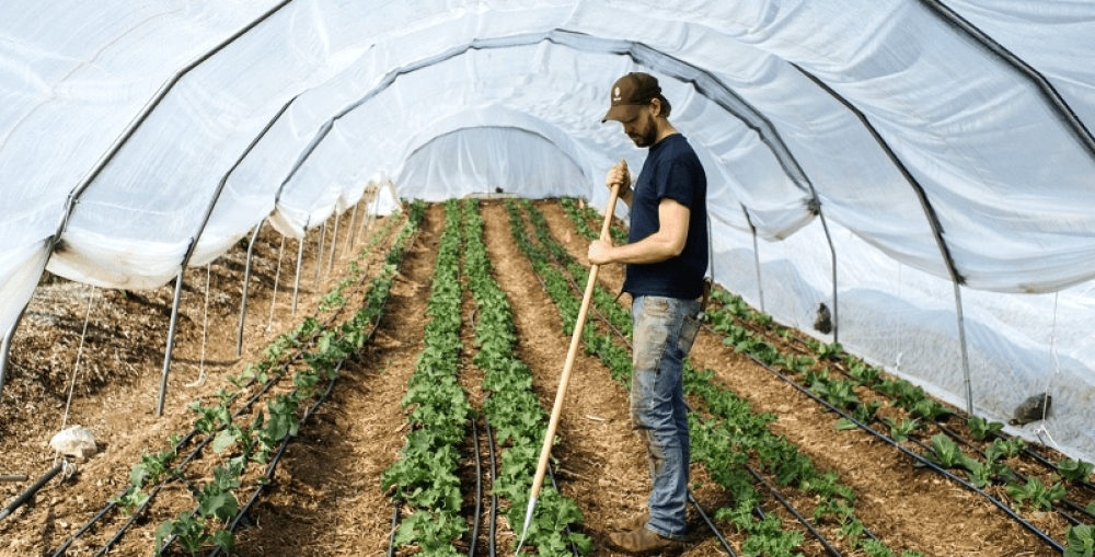 &Pi;&rho;ό&sigma;&phi;&omicron;&rho;&omicron; &tau;&omicron; έ&delta;&alpha;&phi;&omicron;&sigmaf; &sigma;&tau;&eta; &Lambda;&alpha;&kappa;&omega;&nu;ί&alpha; &gamma;&iota;&alpha; &epsilon;&pi;&epsilon;&nu;&delta;ύ&sigma;&epsilon;&iota;&sigmaf; &sigma;&tau;&eta; &theta;&epsilon;&rho;&mu;&omicron;&kappa;&eta;&pi;&iota;&alpha;&kappa;ή &gamma;&epsilon;&omega;&rho;&gamma;ί&alpha;