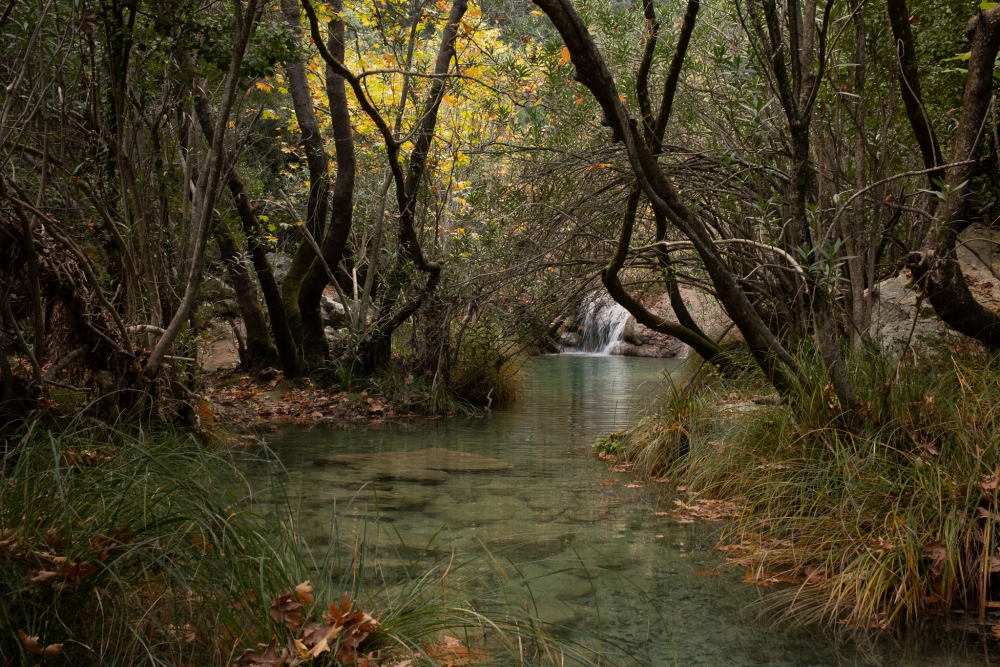 &Mu;&upsilon;&theta;&iota;&kappa;ή &Pi;&epsilon;&lambda;&omicron;&pi;ό&nu;&nu;&eta;&sigma;&omicron;&sigmaf;