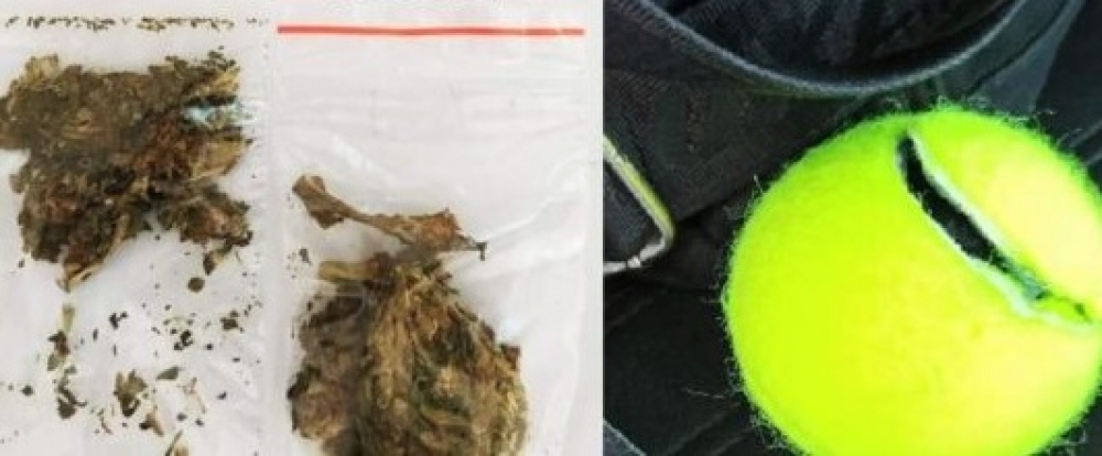 &Tau;&omicron; &mu;&pi;&alpha;&lambda;ά&kappa;&iota; &tau;&omicron;&upsilon; &tau;έ&nu;&iota;&sigmaf; έ&kappa;&rho;&upsilon;&beta;&epsilon;&hellip; &pi;&epsilon;&rho;&iota;&epsilon;&chi;ό&mu;&epsilon;&nu;&omicron; &sigma;&tau;&eta; &Sigma;&pi;ά&rho;&tau;&eta;