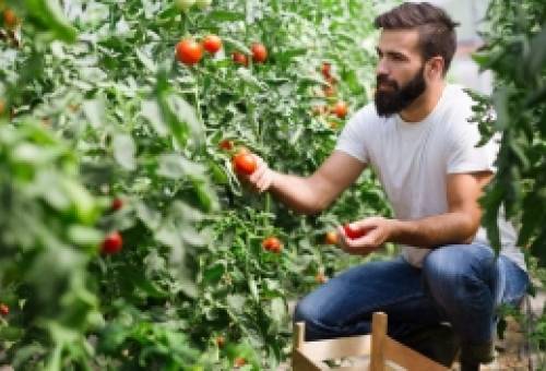 Νέοι αγρότες: Γιατί εγκαταλείπουν τη γη