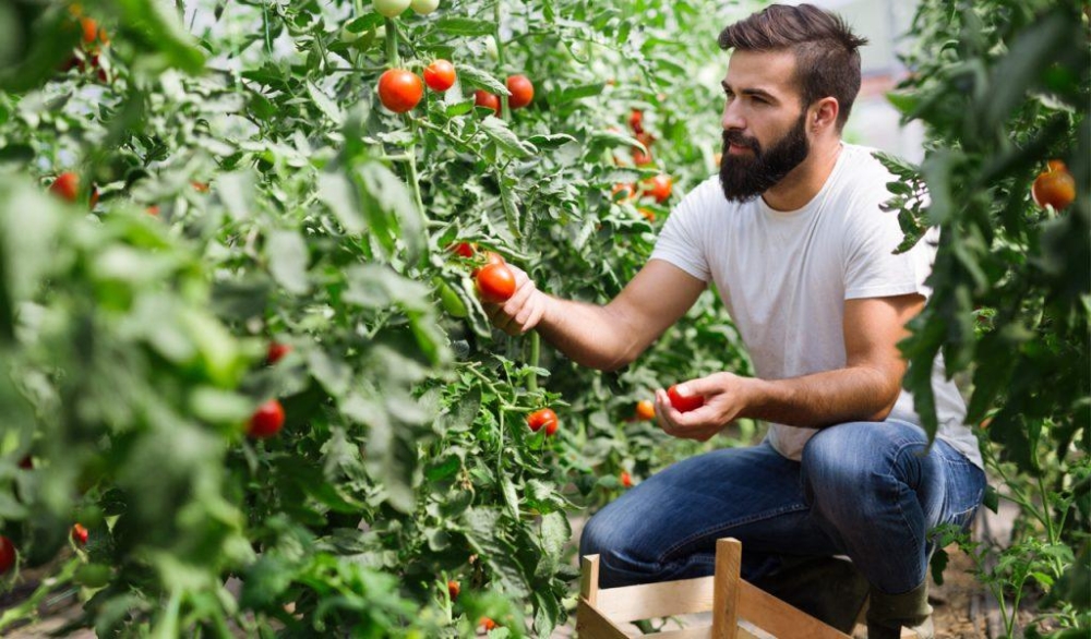 Νέοι αγρότες: Γιατί εγκαταλείπουν τη γη