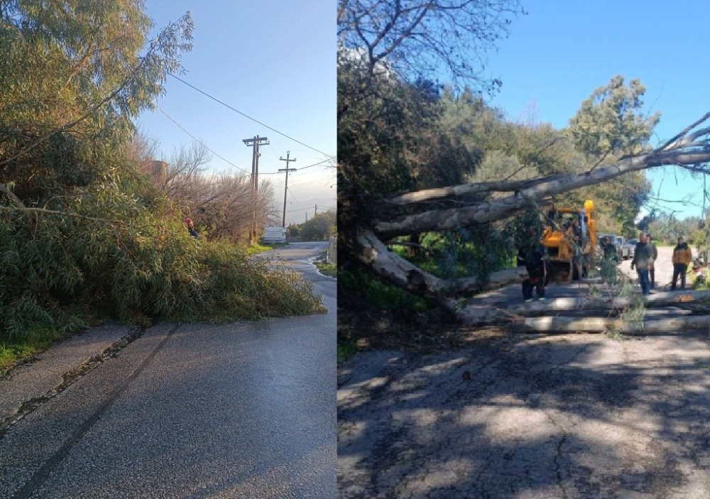 &Tau;&alpha; &pi;ή&rho;&alpha;&nu; &kappa;&alpha;&iota; &tau;&alpha; έ&rho;&iota;&xi;&alpha;&nu; &omicron;&iota; ά&nu;&epsilon;&mu;&omicron;&iota; &sigma;&tau;&omicron;&nu; &Delta;. &Sigma;&pi;ά&rho;&tau;&eta;&sigmaf; (&Phi;&Omega;&Tau;&Omicron;)