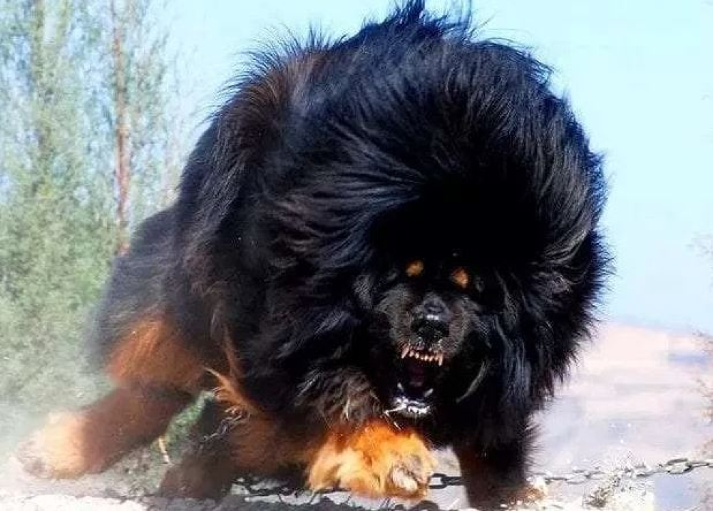 &Mu;ή&pi;&omega;&sigmaf; &epsilon;ί&nu;&alpha;&iota; &eta; ώ&rho;&alpha; &gamma;&iota;&alpha; &tau;&eta;&nu; &alpha;&pi;&alpha;&gamma;ό&rho;&epsilon;&upsilon;&sigma;&eta; &tau;&omega;&nu; &epsilon;&pi;&iota;&kappa;ί&nu;&delta;&upsilon;&nu;&omega;&nu; &sigma;&kappa;&upsilon;&lambda;&iota;ώ&nu;;