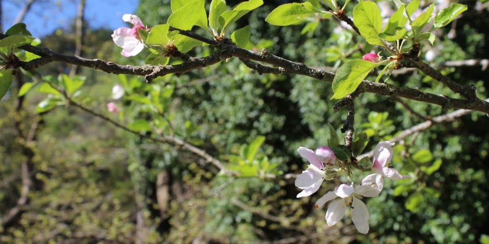 &Tau;&iota; &sigma;&upsilon;&mu;&beta;&alpha;ί&nu;&epsilon;&iota; &sigma;&tau;&eta; &Gamma;&eta; &tau;&eta;&nu; ά&nu;&omicron;&iota;&xi;&eta; &kappa;&alpha;&iota; &tau;&omicron; &Pi;ά&sigma;&chi;&alpha;;