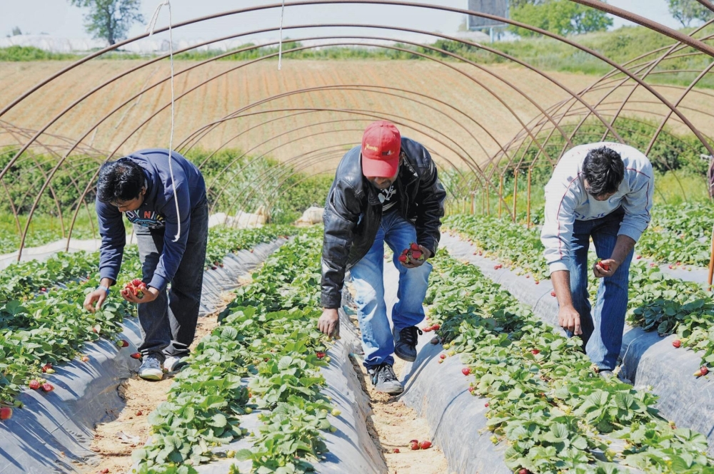 &Epsilon;&rho;&gamma;ό&sigma;&eta;&mu;&omicron; &epsilon;&rho;&gamma;&alpha;&tau;ώ&nu; &gamma;&eta;&sigmaf;: Ό&sigma;&alpha; &pi;&rho;έ&pi;&epsilon;&iota; &nu;&alpha; &gamma;&nu;&omega;&rho;ί&zeta;&omicron;&upsilon;&nu; &alpha;&gamma;&rho;ό&tau;&epsilon;&sigmaf; &kappa;&alpha;&iota; &epsilon;&rho;&gamma;ά&tau;&epsilon;&sigmaf;