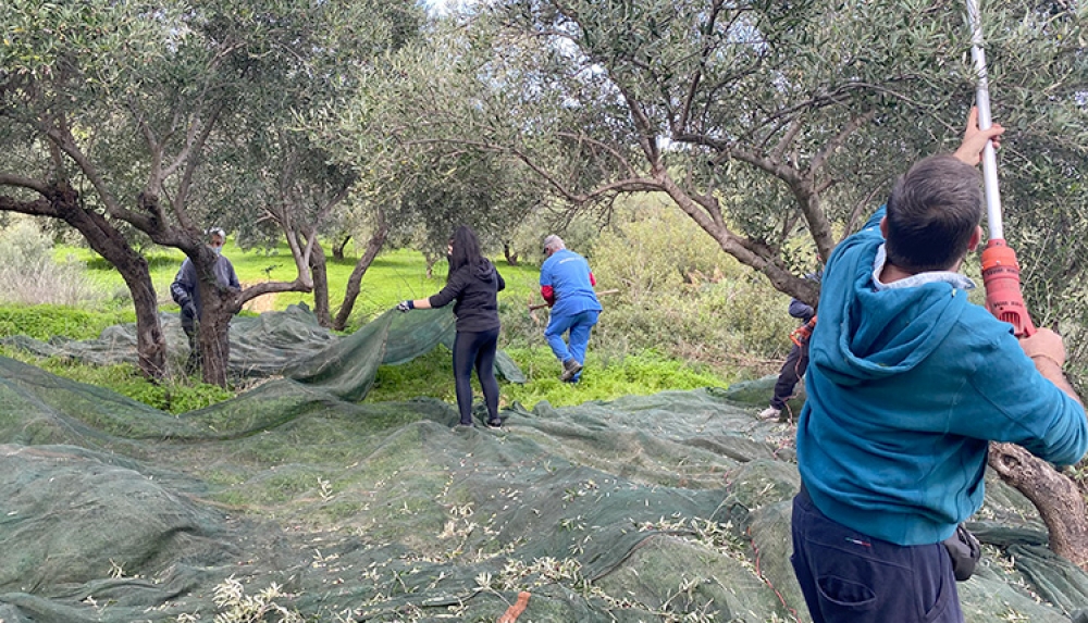 &Mu;&epsilon; &laquo;&xi;&epsilon;&nu;&alpha;&gamma;ό&raquo; &tau;&eta;&nu; &epsilon;&lambda;&iota;ά &sigma;&tau;&eta;&nu; &Pi;&epsilon;&lambda;&omicron;&pi;ό&nu;&nu;&eta;&sigma;&omicron;