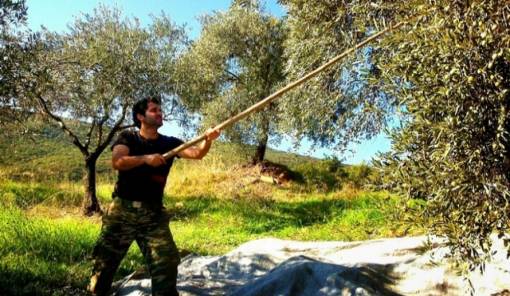 &Epsilon;&kappa;&delta;ό&theta;&eta;&kappa;&alpha;&nu; &tau;&alpha; &alpha;&pi;&omicron;&tau;&epsilon;&lambda;έ&sigma;&mu;&alpha;&tau;&alpha; &gamma;&iota;&alpha; &tau;&omicron;&upsilon;&sigmaf; &Nu;έ&omicron;&upsilon;&sigmaf; &Gamma;&epsilon;&omega;&rho;&gamma;&omicron;ύ&sigmaf; &tau;&eta;&sigmaf; &Lambda;&alpha;&kappa;&omega;&nu;ί&alpha;&sigmaf;
