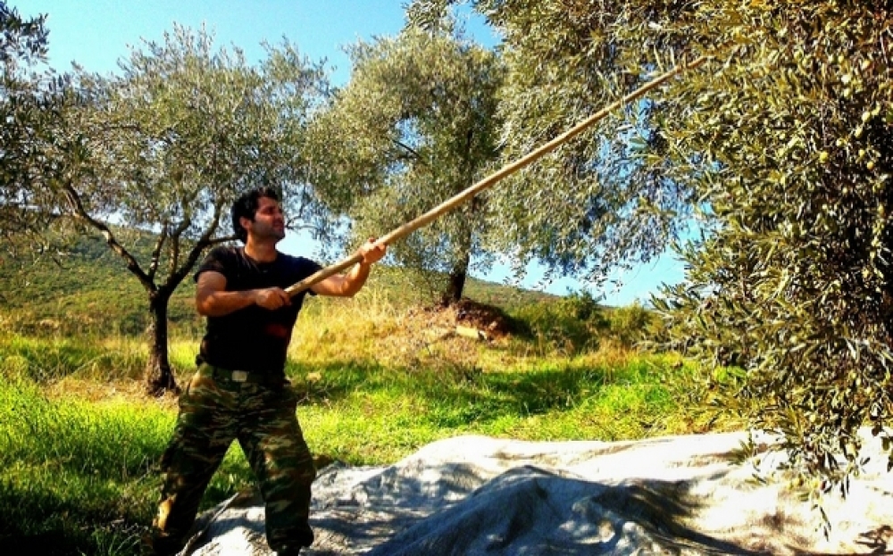 &Epsilon;&kappa;&delta;ό&theta;&eta;&kappa;&alpha;&nu; &tau;&alpha; &alpha;&pi;&omicron;&tau;&epsilon;&lambda;έ&sigma;&mu;&alpha;&tau;&alpha; &gamma;&iota;&alpha; &tau;&omicron;&upsilon;&sigmaf; &Nu;έ&omicron;&upsilon;&sigmaf; &Gamma;&epsilon;&omega;&rho;&gamma;&omicron;ύ&sigmaf; &tau;&eta;&sigmaf; &Lambda;&alpha;&kappa;&omega;&nu;ί&alpha;&sigmaf;