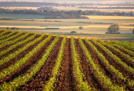 ΟΠΕΚΕΠΕ: Ενστάσεις σε αγροτεμάχια χωρίς ΚΑΕΚ και Μέτρο 23