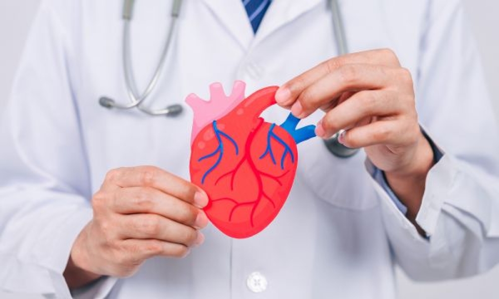 Έ&rho;&epsilon;&upsilon;&nu;&alpha;: &Omicron;&iota; &gamma;&upsilon;&nu;&alpha;ί&kappa;&epsilon;&sigmaf; &mu;&epsilon; &kappa;&alpha;&tau;ά&theta;&lambda;&iota;&psi;&eta; έ&chi;&omicron;&upsilon;&nu; &upsilon;&psi;&eta;&lambda;ό&tau;&epsilon;&rho;&omicron; &kappa;&alpha;&rho;&delta;&iota;&alpha;&gamma;&gamma;&epsilon;&iota;&alpha;&kappa;ό &kappa;ί&nu;&delta;&upsilon;&nu;&omicron; &alpha;&pi;ό ό,&tau;&iota; &omicron;&iota; ά&nu;&delta;&rho;&epsilon;&sigmaf;