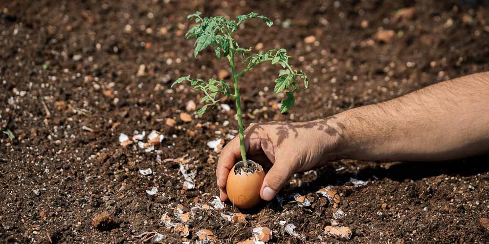 &Lambda;&eta;&gamma;&mu;έ&nu;&alpha; &tau;&rho;ό&phi;&iota;&mu;&alpha; &pi;&omicron;&upsilon; &mu;&pi;&omicron;&rho;&epsilon;ί&sigmaf; &nu;&alpha; &chi;&rho;&eta;&sigma;&iota;&mu;&omicron;&pi;&omicron;&iota;ή&sigma;&epsilon;&iota;&sigmaf; &omega;&sigmaf; &phi;&upsilon;&sigma;&iota;&kappa;ό &lambda;ί&pi;&alpha;&sigma;&mu;&alpha;