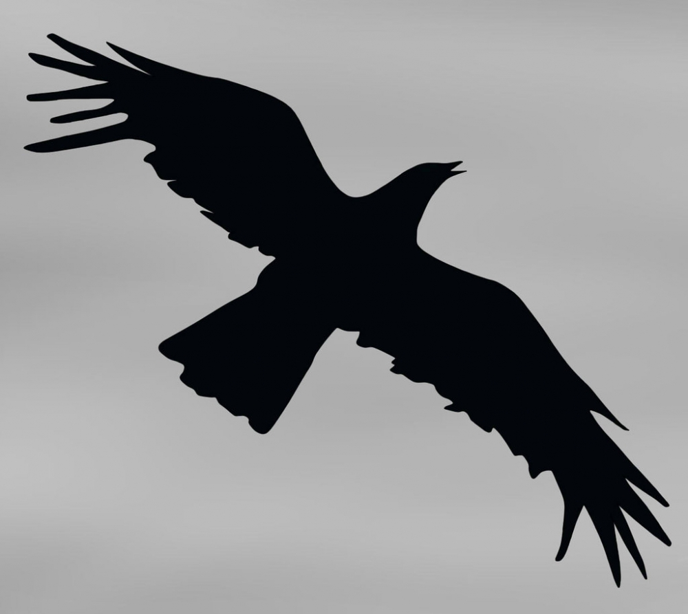 Το νυχτοπούλι