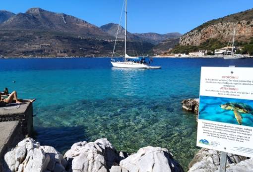 Μην ταΐζετε τις θαλάσσιες χελώνες, δεν είναι κατοικίδια ζώα