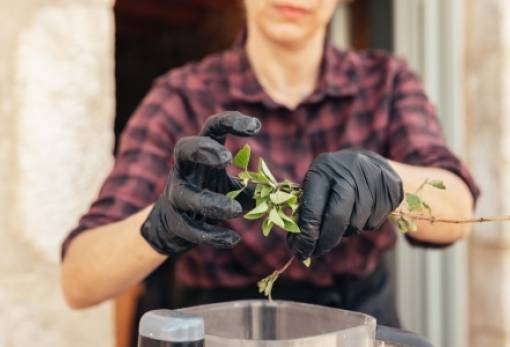 «Μαγειροτσουκαλέματα» έρχονται στη Βαμβακού