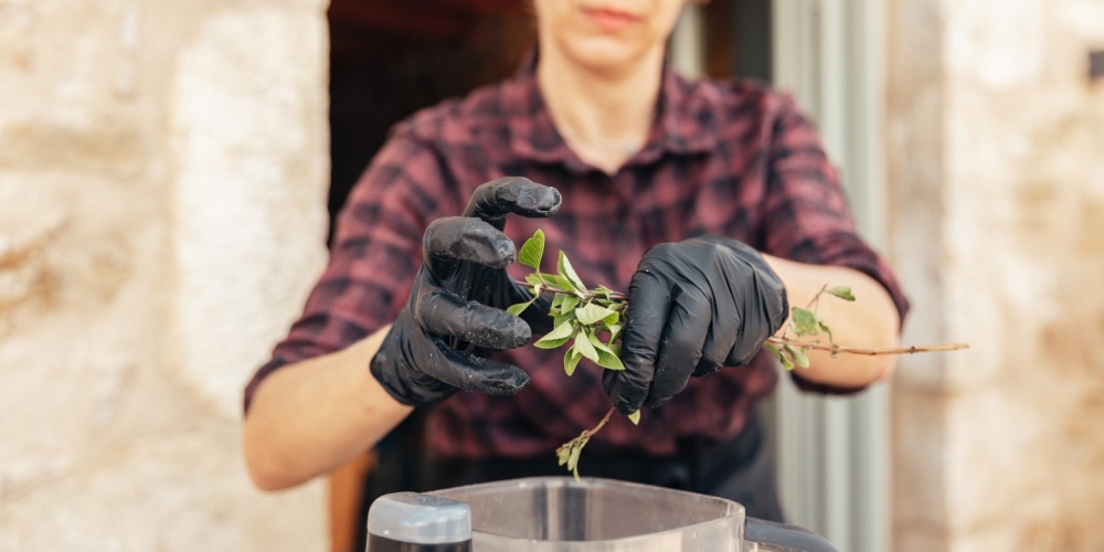 &laquo;&Mu;&alpha;&gamma;&epsilon;&iota;&rho;&omicron;&tau;&sigma;&omicron;&upsilon;&kappa;&alpha;&lambda;έ&mu;&alpha;&tau;&alpha;&raquo; έ&rho;&chi;&omicron;&nu;&tau;&alpha;&iota; &sigma;&tau;&eta; &Beta;&alpha;&mu;&beta;&alpha;&kappa;&omicron;ύ