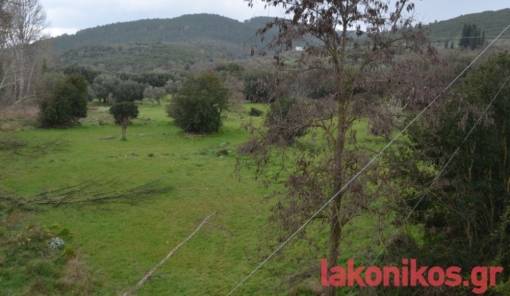 &Sigma;&epsilon; &alpha;&nu;&alpha;&mu;&omicron;&nu;ή &gamma;&iota;&alpha; &epsilon;&pi;&iota;&sigma;&eta;&mu;&omicron;&pi;&omicron;ί&eta;&sigma;&eta; &tau;&omega;&nu; &epsilon;&xi;&epsilon;&lambda;ί&xi;&epsilon;&omega;&nu; &sigma;&tau;&eta;&nu; &Kappa;&epsilon;&lambda;&epsilon;&phi;ί&nu;&alpha;