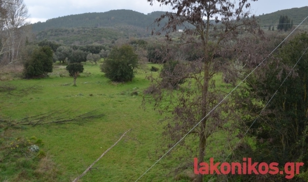 &Sigma;&epsilon; &alpha;&nu;&alpha;&mu;&omicron;&nu;ή &gamma;&iota;&alpha; &epsilon;&pi;&iota;&sigma;&eta;&mu;&omicron;&pi;&omicron;ί&eta;&sigma;&eta; &tau;&omega;&nu; &epsilon;&xi;&epsilon;&lambda;ί&xi;&epsilon;&omega;&nu; &sigma;&tau;&eta;&nu; &Kappa;&epsilon;&lambda;&epsilon;&phi;ί&nu;&alpha;
