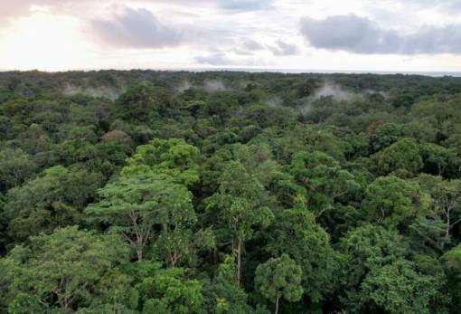 Πώς ο Δαρβίνος καθοδηγεί τους σημερινούς γεωπόνους 150 χρόνια μετά