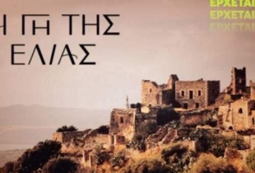 Σύλλογος Γυναικών Μάνης: «Προσβολή για τις Μανιάτισσες η Γη της Ελιάς»