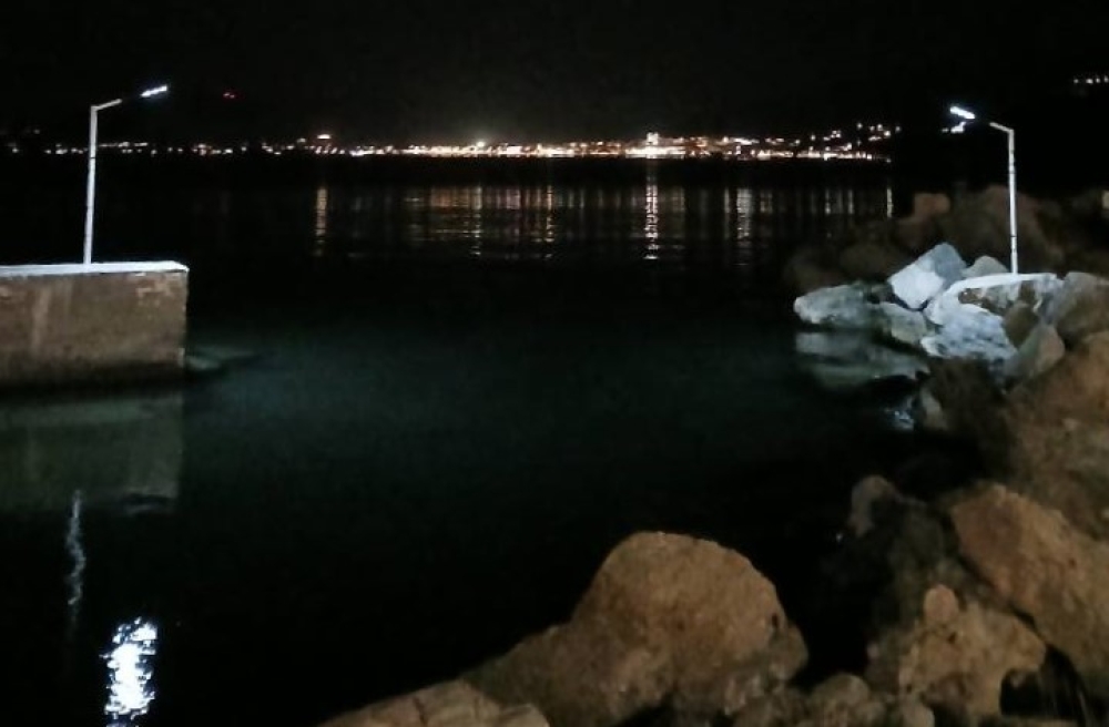 &Phi;&omega;&tau;&alpha;&gamma;&omega;&gamma;ή&theta;&eta;&kappa;&epsilon; &eta; &epsilon;ί&sigma;&omicron;&delta;&omicron;&sigmaf; &tau;&omicron;&upsilon; &lambda;&iota;&mu;&alpha;&nu;&iota;&omicron;ύ &sigma;&tau;&omicron; &Pi;&alpha;&lambda;&alpha;&iota;ό&kappa;&alpha;&sigma;&tau;&rho;&omicron; &Beta;&omicron;&iota;ώ&nu;