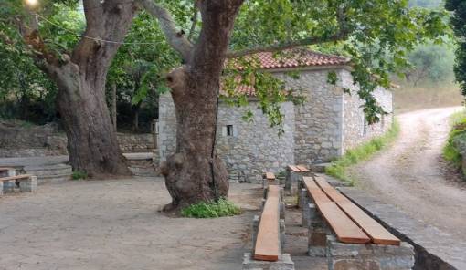 &Pi;&rho;&omega;&tau;&omicron;&mu;&alpha;&gamma;&iota;ά &sigma;&tau;&omicron;&nu; &Kappa;&alpha;&tau;&alpha;&gamma;&iota;ά&nu;&nu;&eta;: &Pi;&alpha;&rho;&alpha;&delta;&omicron;&sigma;&iota;&alpha;&kappa;ό &alpha;&nu;&omicron;&iota;&xi;&iota;ά&tau;&iota;&kappa;&omicron; &alpha;&nu;&tau;ά&mu;&omega;&mu;&alpha; &sigma;&tau;&iota;&sigmaf; &Alpha;&mu;ύ&kappa;&lambda;&epsilon;&sigmaf;