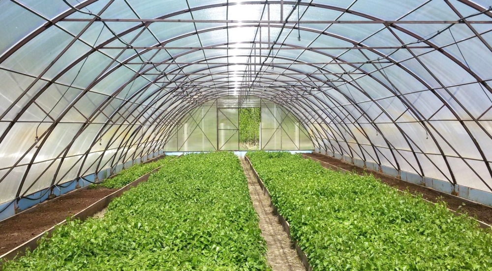 Παράταση αιτήσεων για θερμοκήπια και στέγαστρα φυτικής παραγωγής