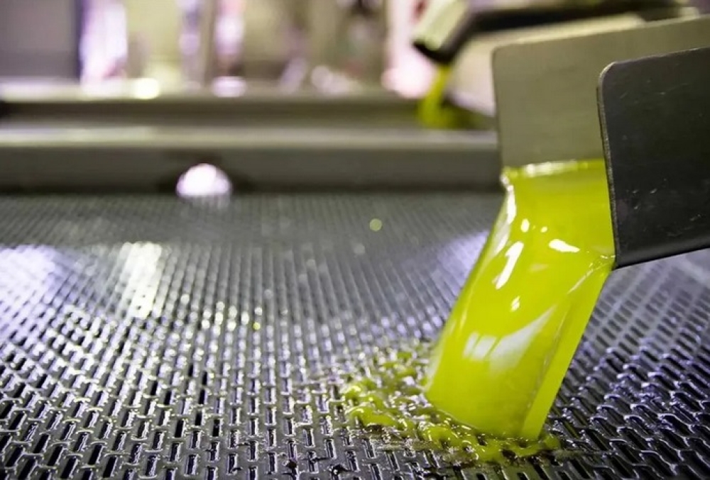 &Eta; &Lambda;&alpha;&kappa;&omega;&nu;ί&alpha; &laquo;&omicron;&delta;&eta;&gamma;&epsilon;ί&raquo; &tau;&eta;&nu; &kappa;&omicron;ύ&rho;&sigma;&alpha; &sigma;&tau;&omicron; &epsilon;&lambda;&alpha;&iota;ό&lambda;&alpha;&delta;&omicron;