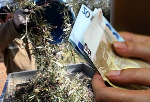 Τρεις μεγάλες αλλαγές στις αγροτικές επιδοτήσεις